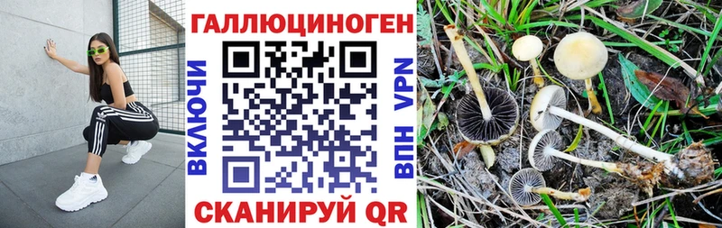 как найти   Алатырь  Галлюциногенные грибы GOLDEN TEACHER 